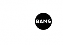 Bams_V3